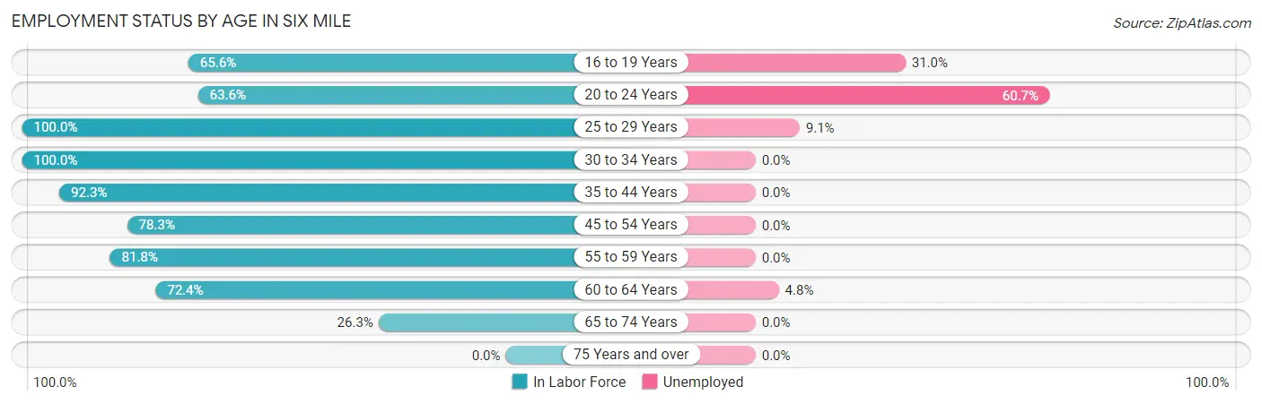 Employment Status by Age in Six Mile