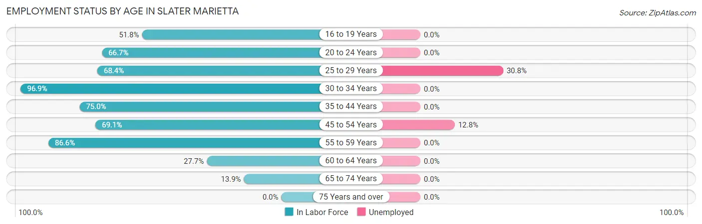 Employment Status by Age in Slater Marietta