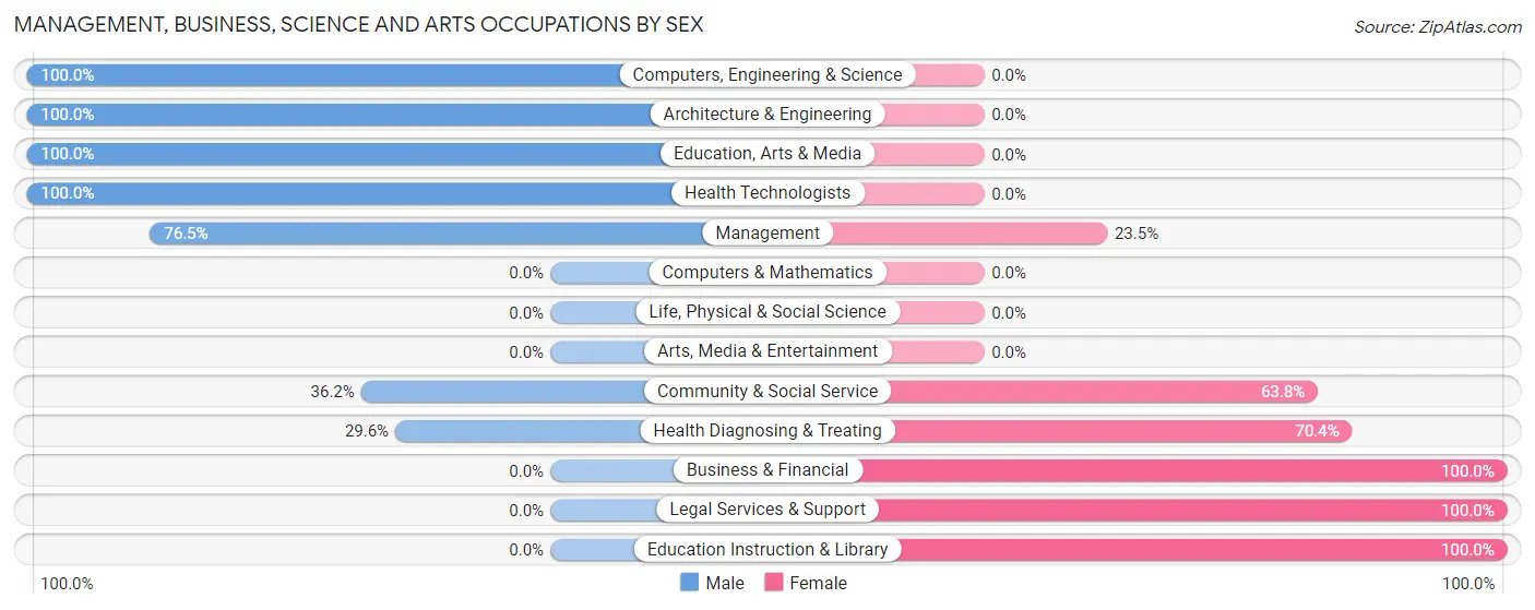 Management, Business, Science and Arts Occupations by Sex in Slater Marietta