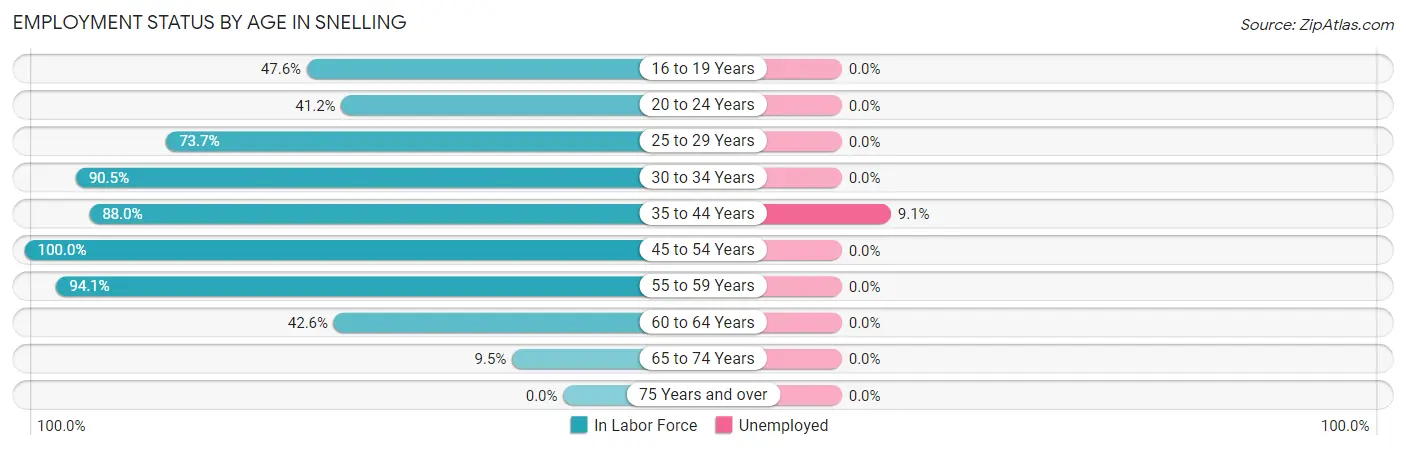 Employment Status by Age in Snelling