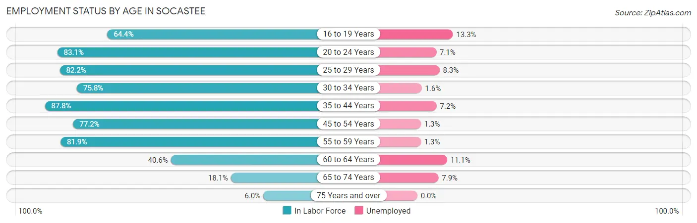 Employment Status by Age in Socastee