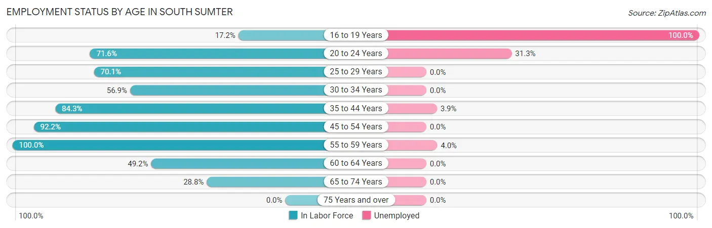 Employment Status by Age in South Sumter
