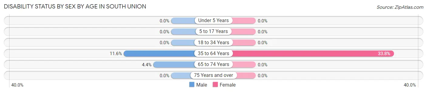 Disability Status by Sex by Age in South Union