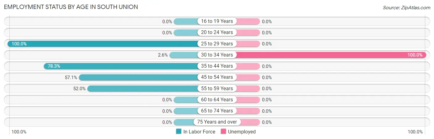 Employment Status by Age in South Union