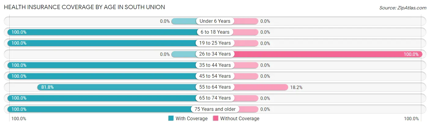 Health Insurance Coverage by Age in South Union