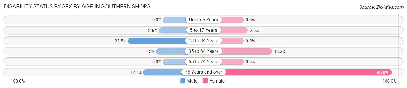 Disability Status by Sex by Age in Southern Shops