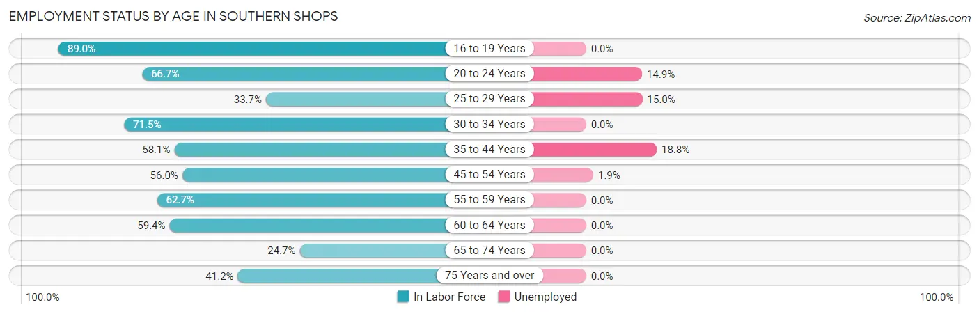 Employment Status by Age in Southern Shops