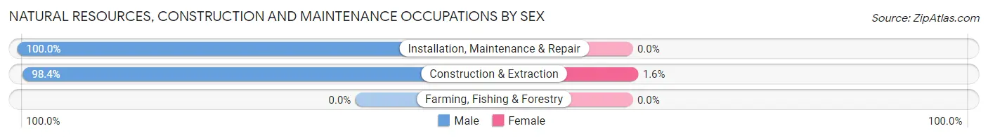 Natural Resources, Construction and Maintenance Occupations by Sex in Southern Shops
