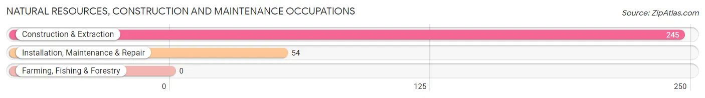 Natural Resources, Construction and Maintenance Occupations in Southern Shops