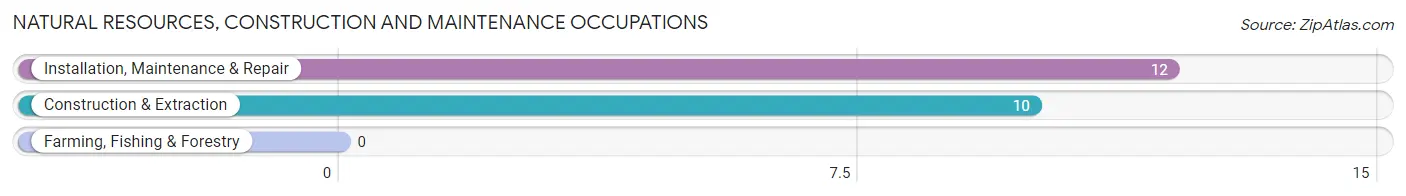 Natural Resources, Construction and Maintenance Occupations in St Matthews