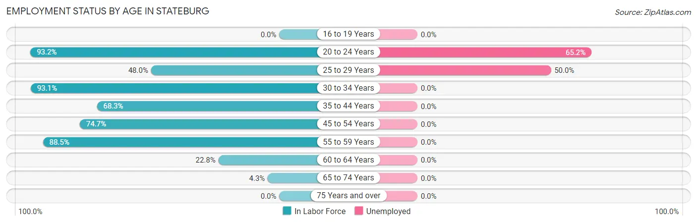 Employment Status by Age in Stateburg