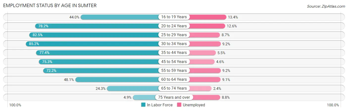 Employment Status by Age in Sumter