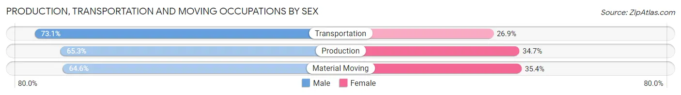 Production, Transportation and Moving Occupations by Sex in Sumter
