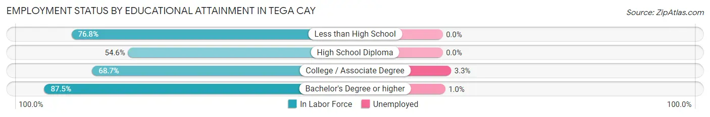Employment Status by Educational Attainment in Tega Cay