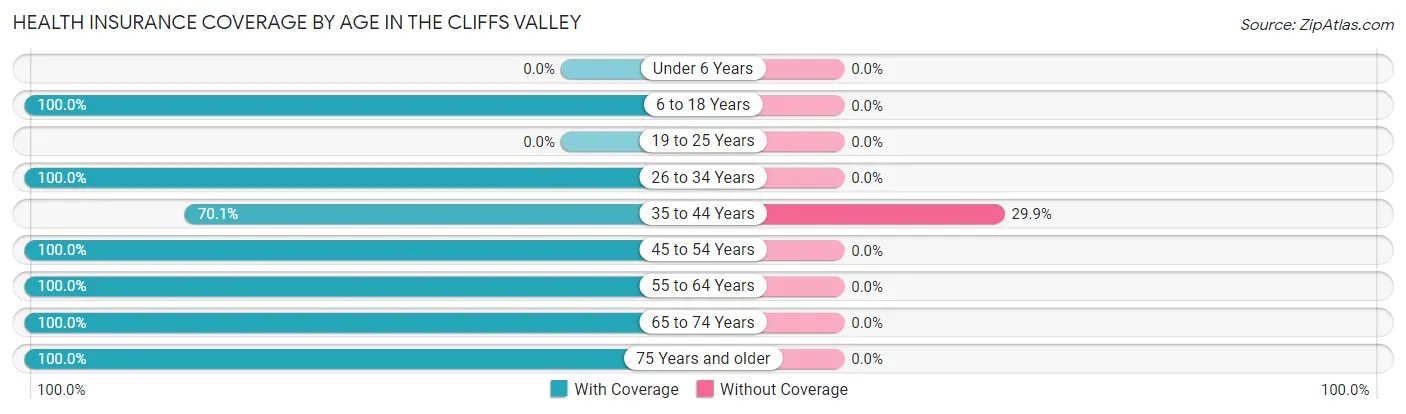Health Insurance Coverage by Age in The Cliffs Valley