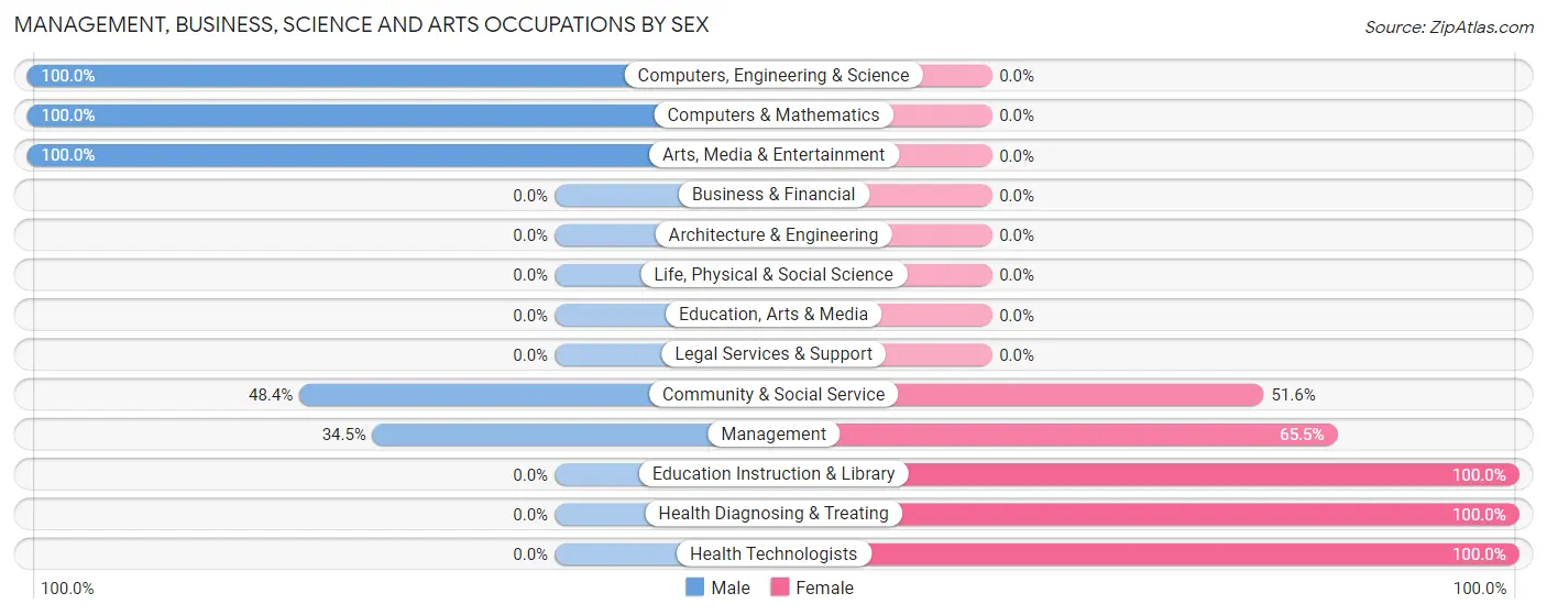 Management, Business, Science and Arts Occupations by Sex in The Cliffs Valley