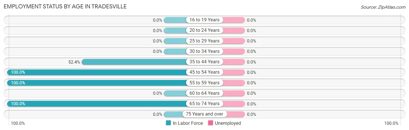 Employment Status by Age in Tradesville