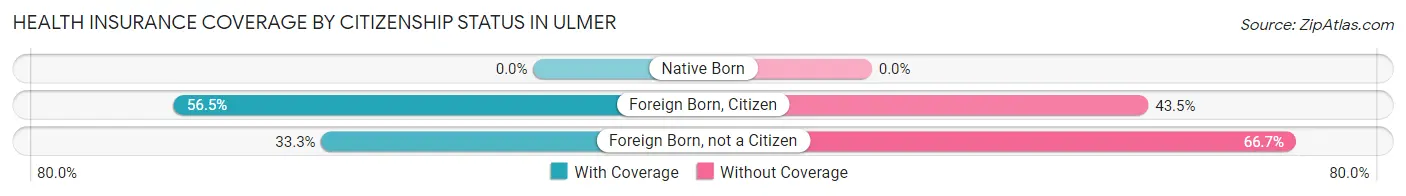 Health Insurance Coverage by Citizenship Status in Ulmer