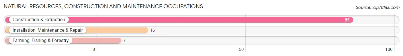 Natural Resources, Construction and Maintenance Occupations in Varnville