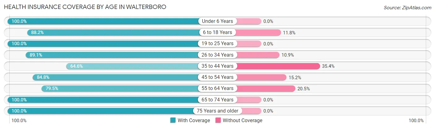 Health Insurance Coverage by Age in Walterboro