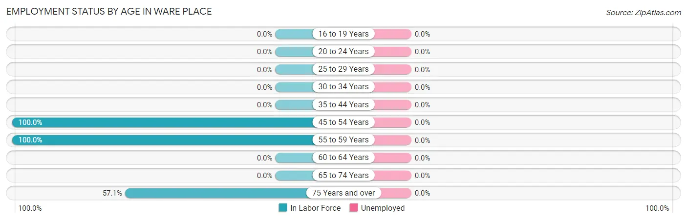 Employment Status by Age in Ware Place