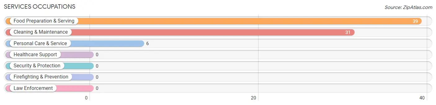 Services Occupations in Ware Shoals