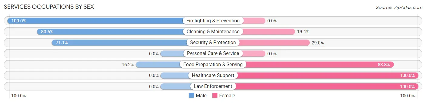 Services Occupations by Sex in Welcome