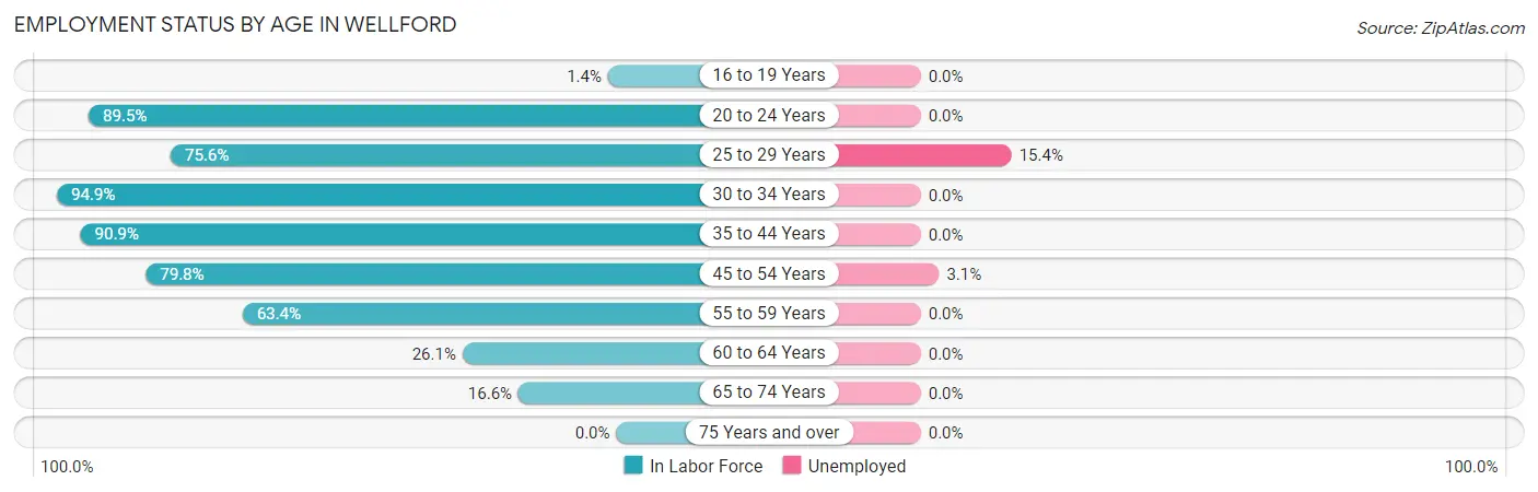 Employment Status by Age in Wellford
