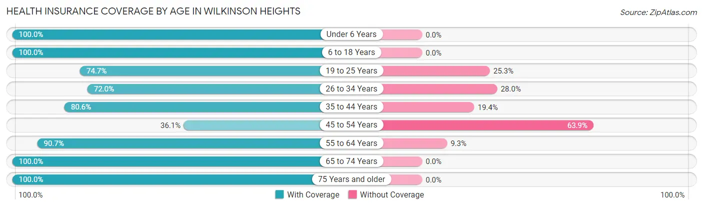 Health Insurance Coverage by Age in Wilkinson Heights
