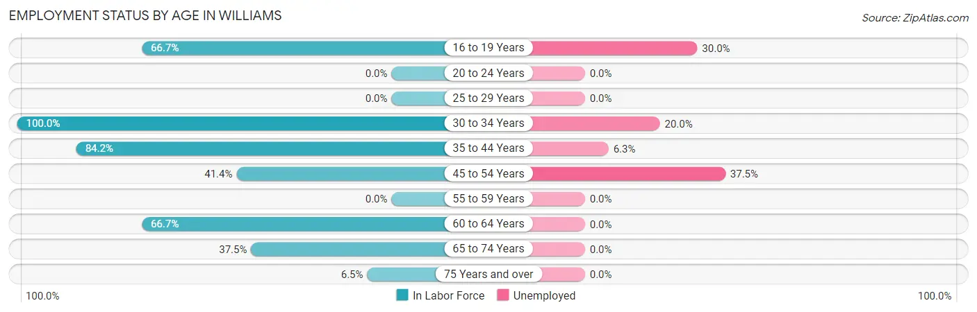 Employment Status by Age in Williams