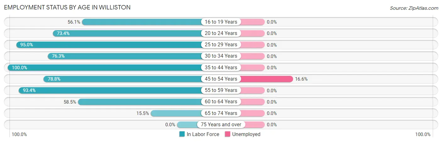 Employment Status by Age in Williston