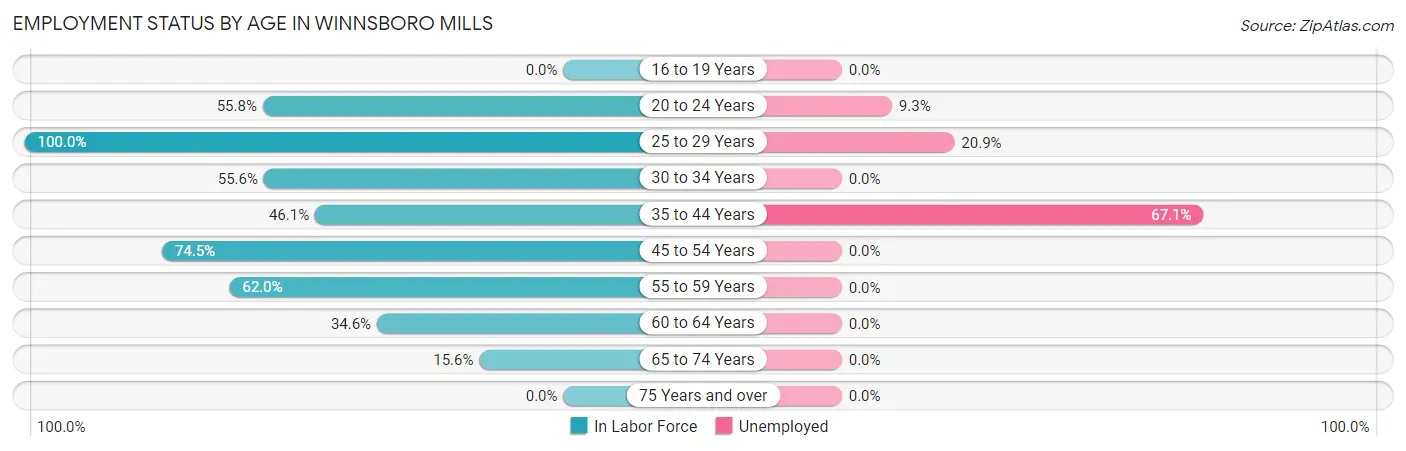 Employment Status by Age in Winnsboro Mills