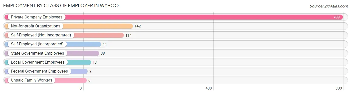 Employment by Class of Employer in Wyboo