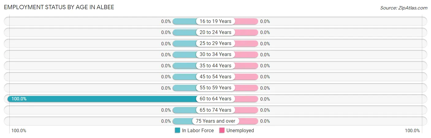 Employment Status by Age in Albee