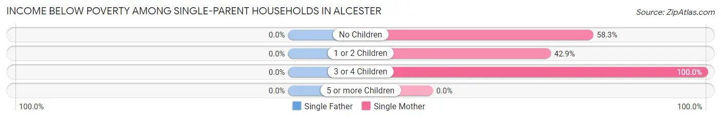 Income Below Poverty Among Single-Parent Households in Alcester