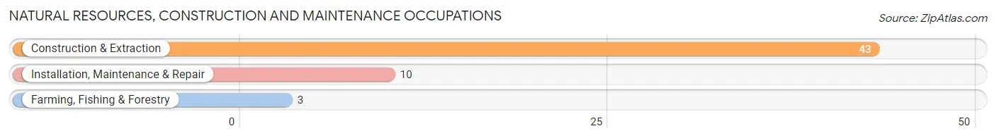 Natural Resources, Construction and Maintenance Occupations in Alexandria