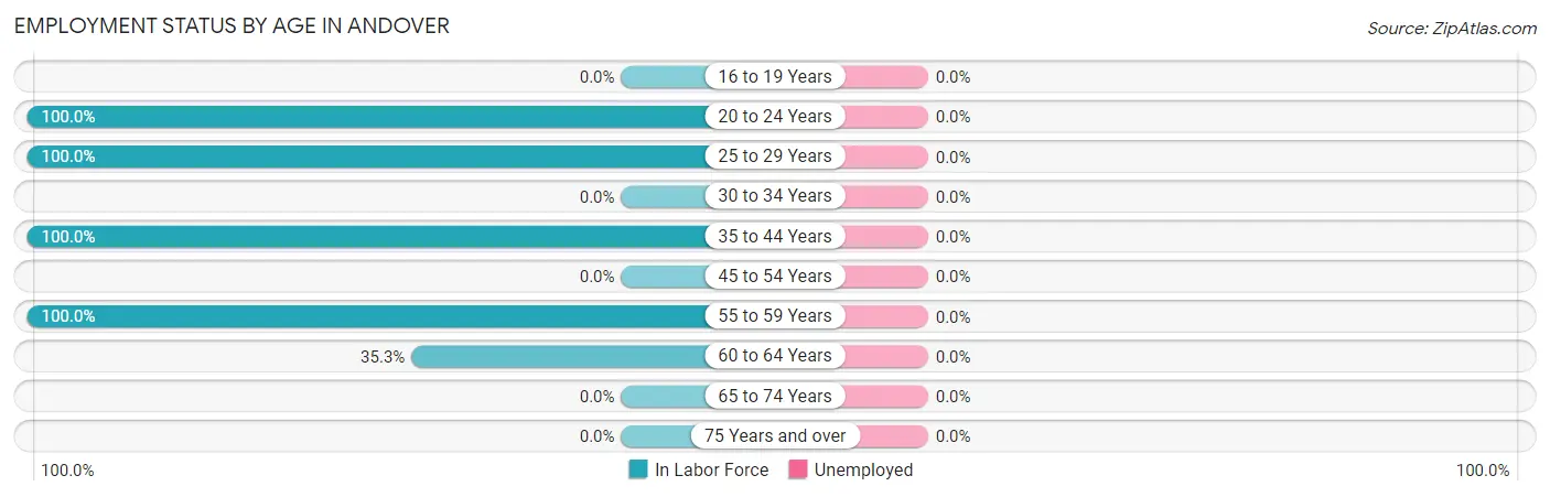 Employment Status by Age in Andover