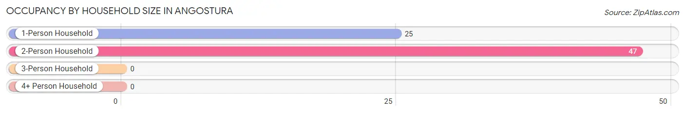 Occupancy by Household Size in Angostura