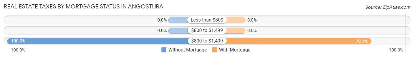 Real Estate Taxes by Mortgage Status in Angostura