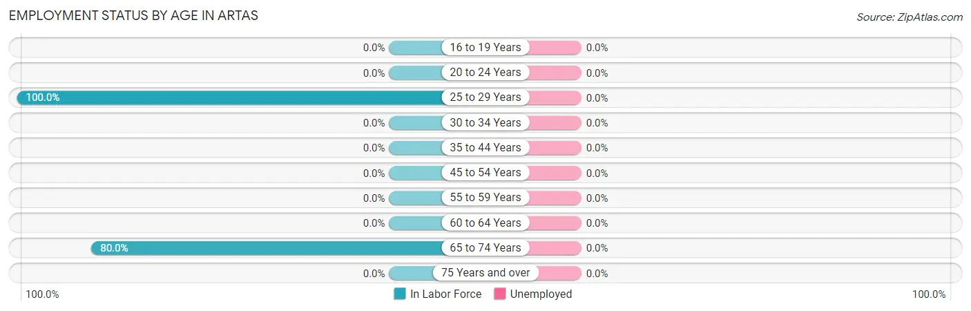 Employment Status by Age in Artas