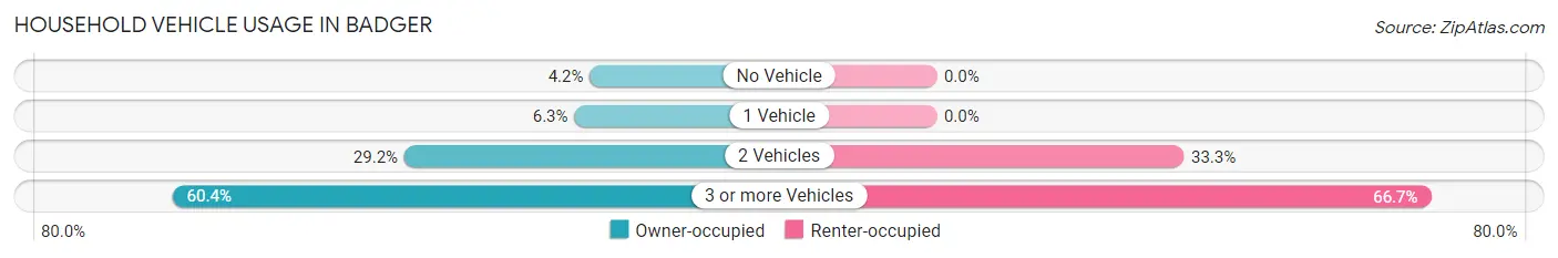 Household Vehicle Usage in Badger