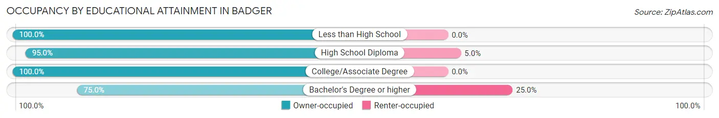 Occupancy by Educational Attainment in Badger