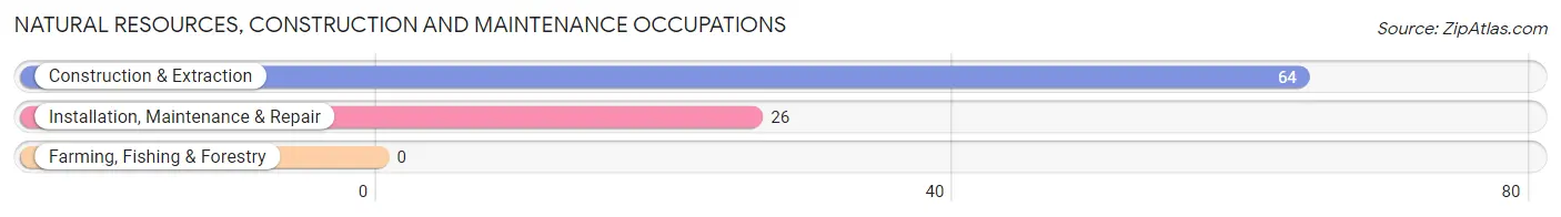 Natural Resources, Construction and Maintenance Occupations in Baltic