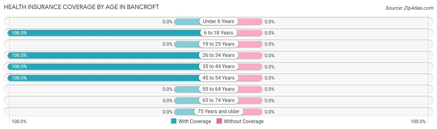 Health Insurance Coverage by Age in Bancroft