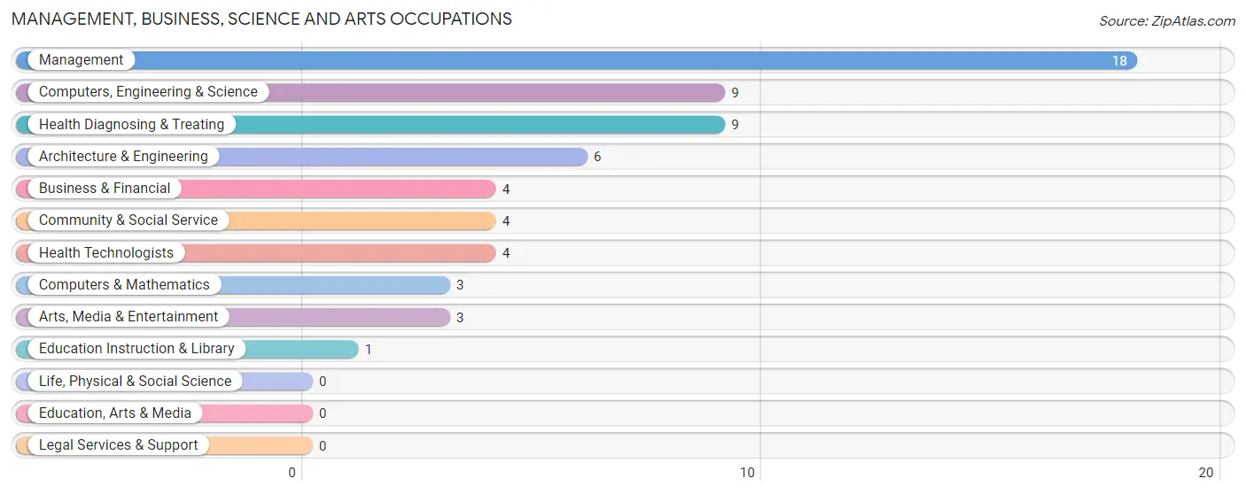 Management, Business, Science and Arts Occupations in Big Stone City