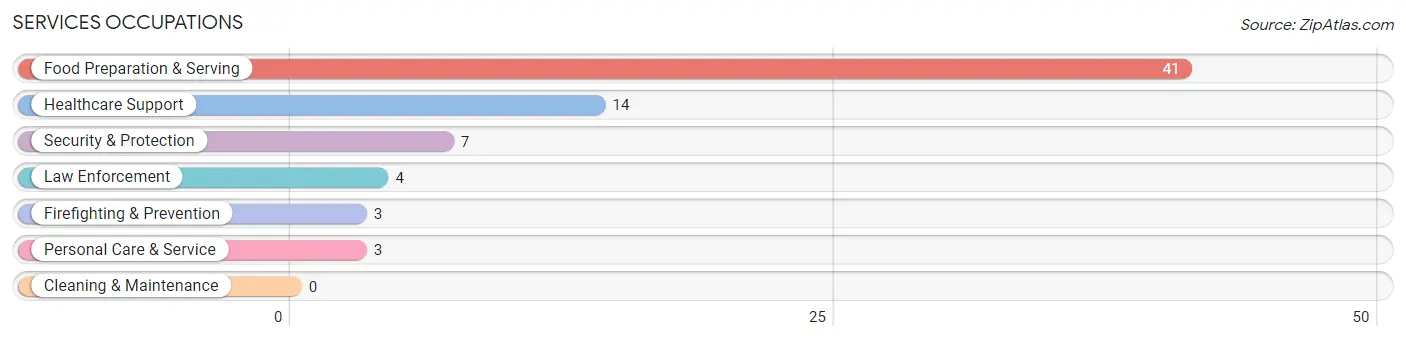 Services Occupations in Big Stone City