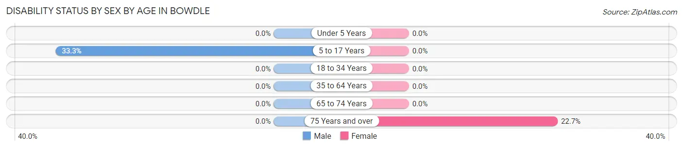 Disability Status by Sex by Age in Bowdle