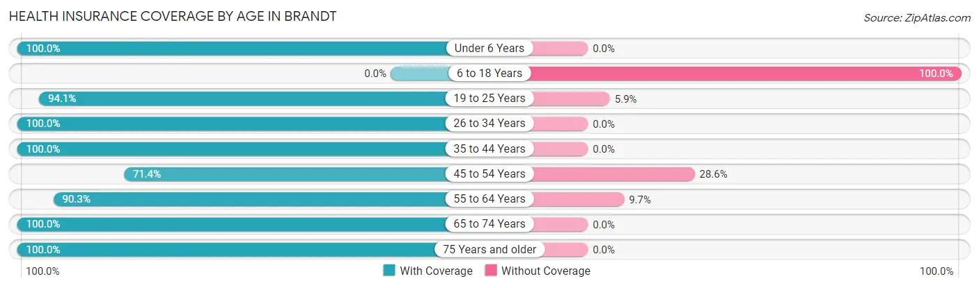 Health Insurance Coverage by Age in Brandt