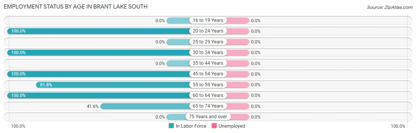 Employment Status by Age in Brant Lake South