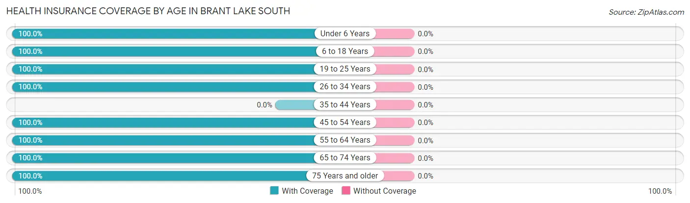 Health Insurance Coverage by Age in Brant Lake South
